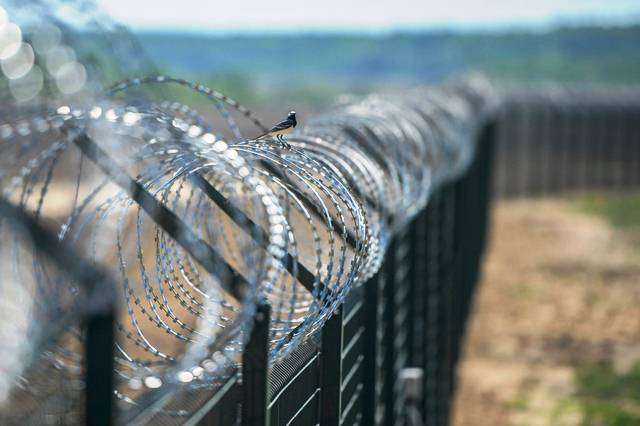 забор на границе с Беларусью и Украиной