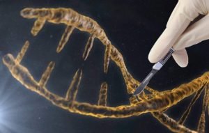 ДНК генофонда - фото