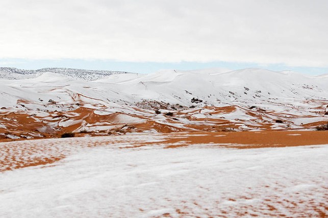 Сахару замело снегом 2018 год, зима