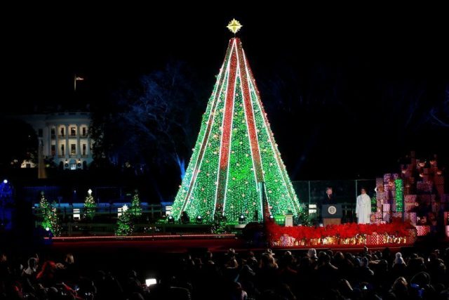 В Вашингтоне мужчина взобрался на Национальную рождественскую ёлку США